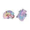 Enamel Pin – Anatomical Brain and Heart (2pcs)